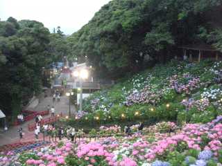 ajisaimatsuri.jpg